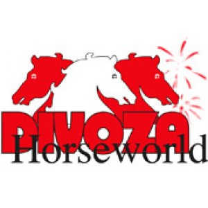 Divoza Horseworld