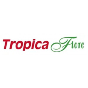 Tropicaflore